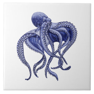 Octopus azul e branco