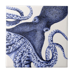 Octopus Azul Paisagem