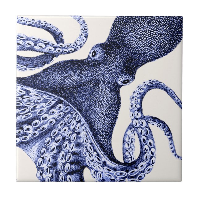 Octopus Azul Paisagem (Frente)