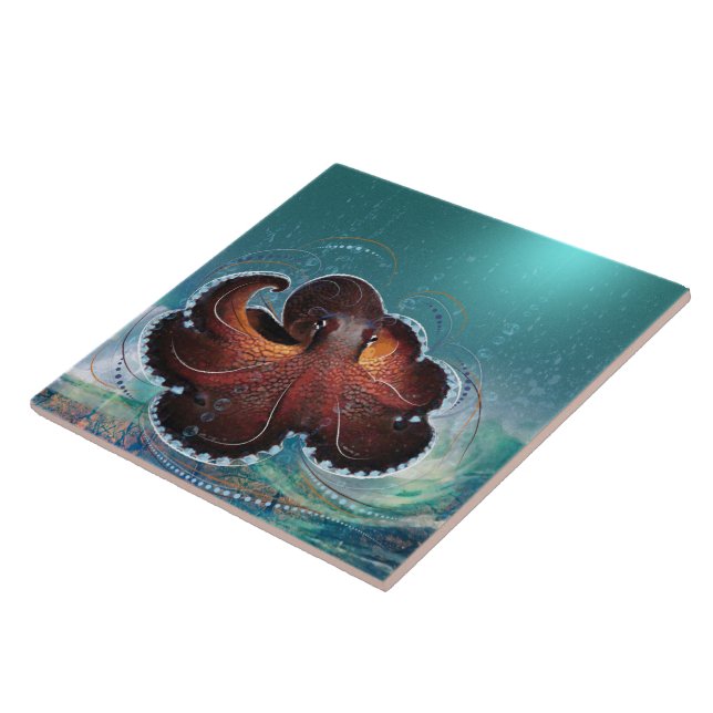 OCTOPUS - Azulejo cerâmico (Lateral)