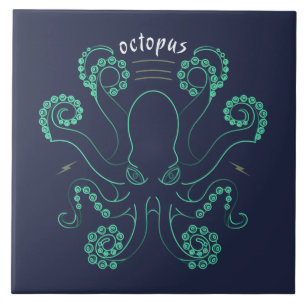 Octopus Cephalopod Tentáculos