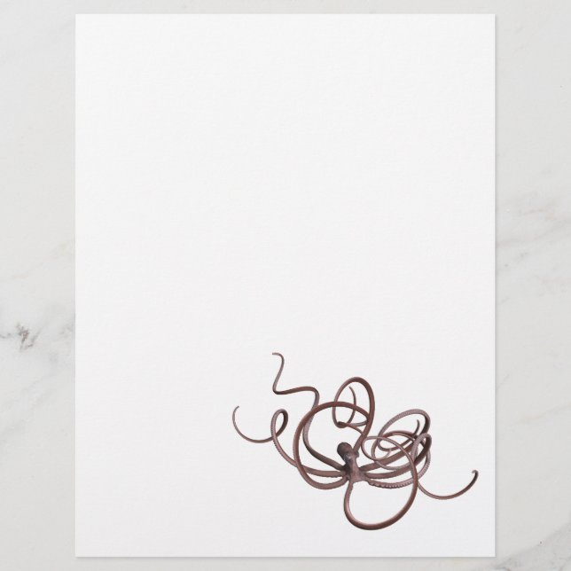 Octopus gigante (Frente)