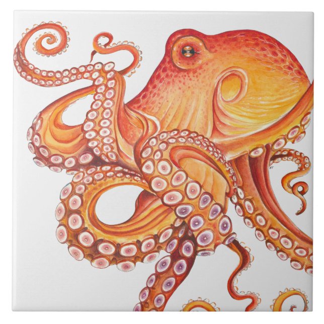 Octopus Laranja Vermelho (Frente)
