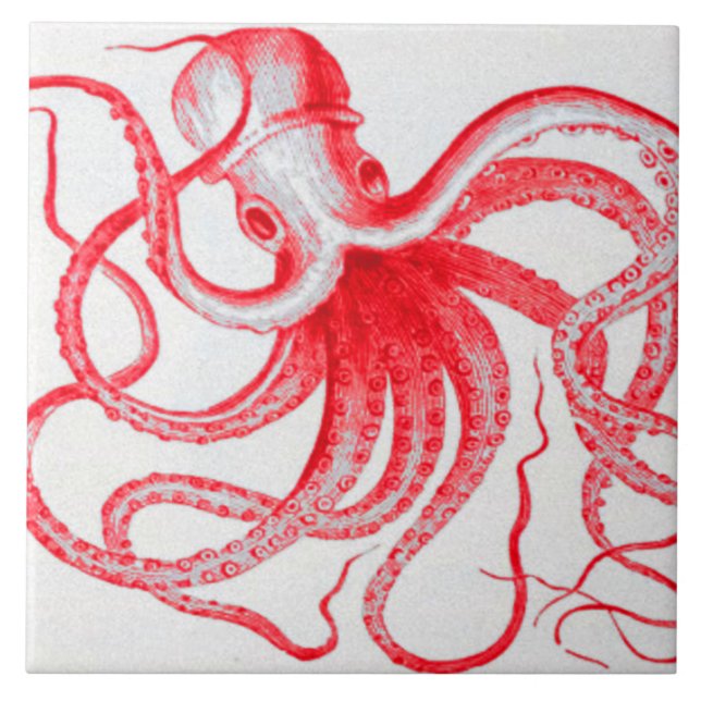 Octopus Náutico Steampunk Vintage Kraken Monster (Frente)