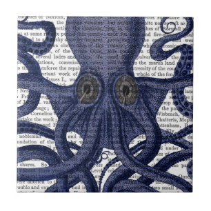 Octopus para Cima - Fechar