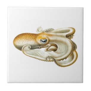 "OCTOPUS" SEALIFE AZULEJO CERÂMICO