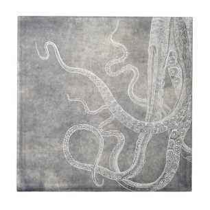 Octopus Silver Pewter Coastercolorido Neutro