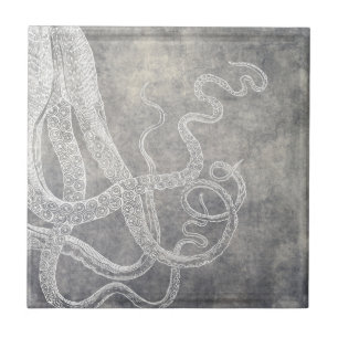 Octopus Silver Pewter Costeiro Neutro