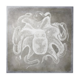 Octopus Silver Pewter Costeiro Neutro
