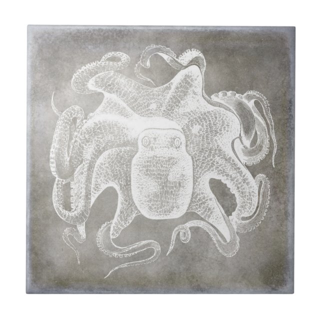 Octopus Silver Pewter Costeiro Neutro (Frente)