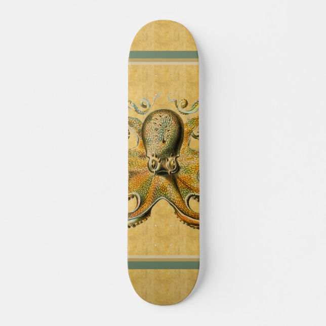 Octopus Skateboard (Frente)