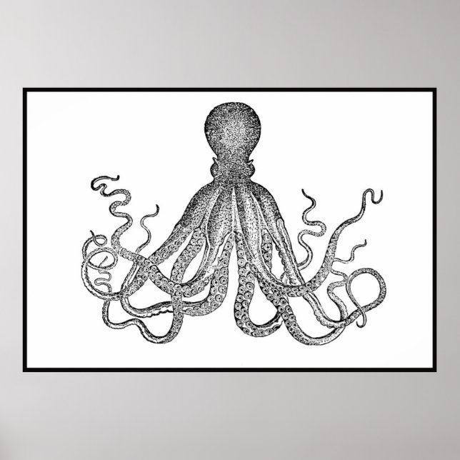 Octopus Vintage Em Poster Branco E Preto (Frente)