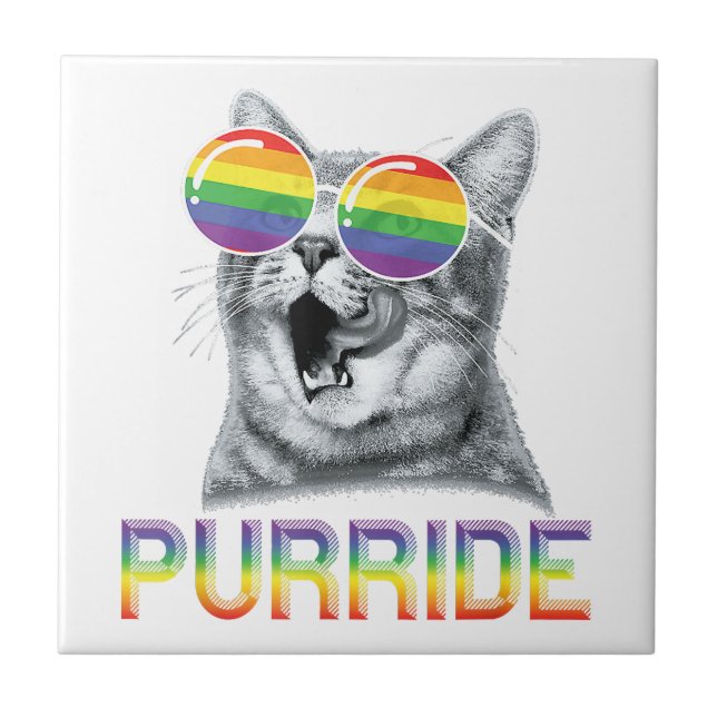 Óculos de Sol Arco-íris Orgulho Gay Gato Divertido (Frente)