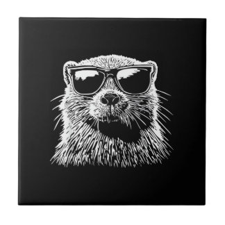 Óculos de Sol de Castor