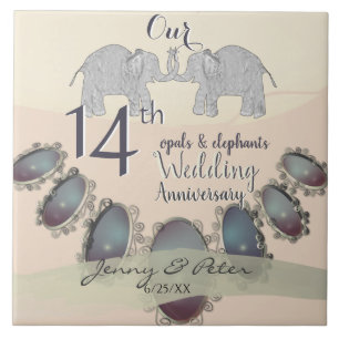 Óculos e Elefantes do 14 Casamento