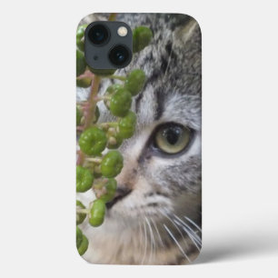 Ocultar Mini Caso Do iPad Do EYE-Phone Do Kitten