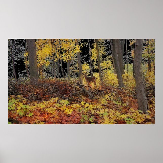 Oculto, poster (Frente)