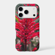 Odontonema para capa do iPhone17 pro