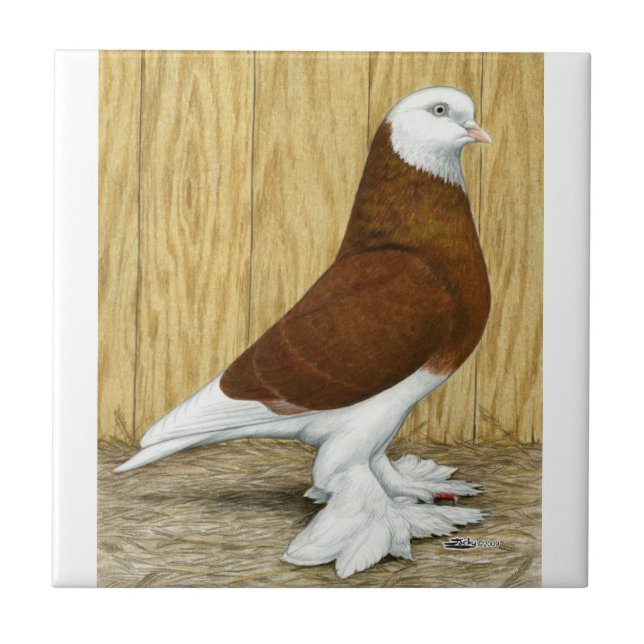 Oeste da Inglaterra Tumbler Red Baldhead (Frente)