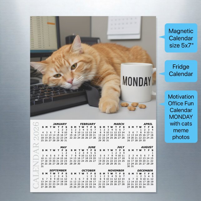 Office Cat Fridge Calendar 2026, Monday Motivation (Motivational Fridge Calendar 2026 / Office Cats / Magnetic)