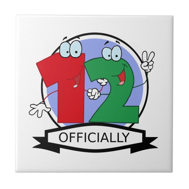 Oficialmente 12 Banner de Aniversário (Frente)