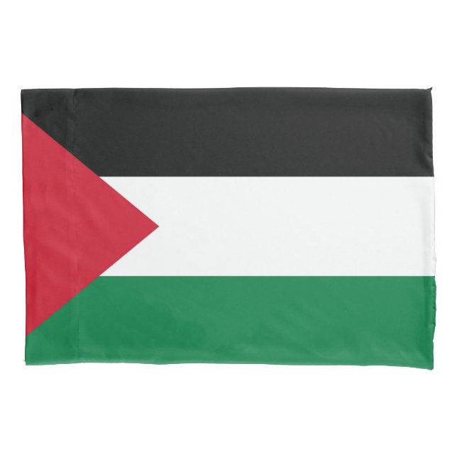 oficialmente pavilhão do Estado da Palestina (Frente)