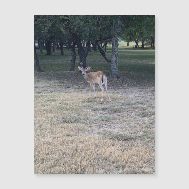 Oh Deer Magnet (Frente)