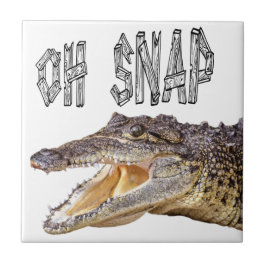 OH SNAP - Gator Irritado