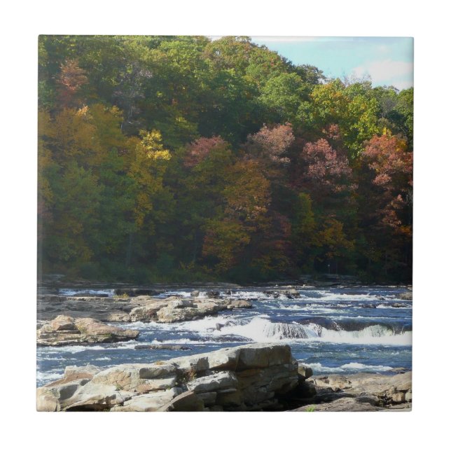 Ohiopyle River Rapids in Fall Pennsylvania Autumn (Frente)