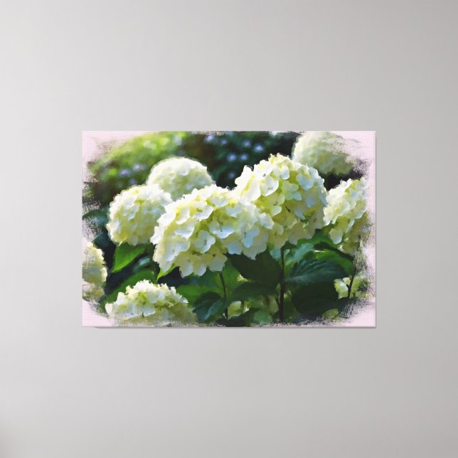 *~* Oil Hydrangea TV2 Art Stretch Canvas Print (Frente)