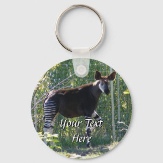 Okapi Chaveiro