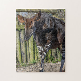 Okapi no quebra-cabeça do jardim zoológico