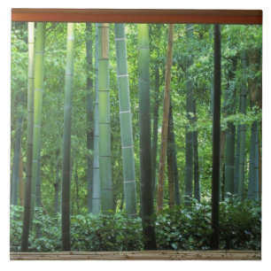 Okochi Sanso, Arashiyama, Kyoto, Japão 3