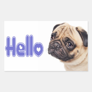 Olá Adesivo / Etiqueta de Cachorro Pug Filhote