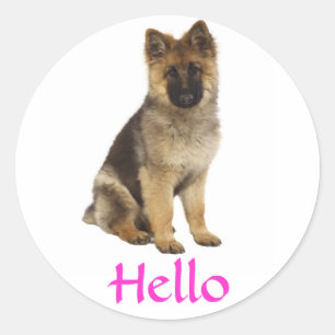 Olá Adesivos de Boas-Vindas ao Cachorro Filhote Pa