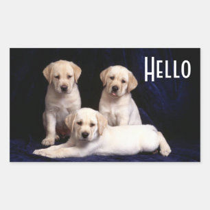 Olá Adesivos de Cachorro Filhote Labrador Retrieve