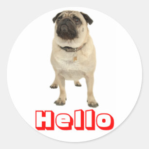 Olá Adesivos de Cachorro Pug Filhote