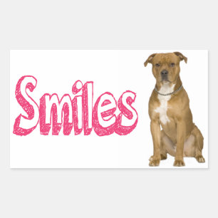 Olá Adesivos de Cão American Staffordshire Terrier
