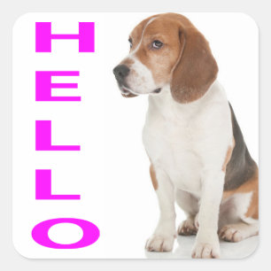 Olá Adesivos / Etiqueta de Cachorrinho Beagle Saud