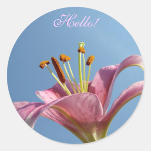 OLÁ! Adesivos Flor de Lírio Rosa