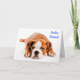 Olá Amigo Cartão de Saudação Bulldog - Verso