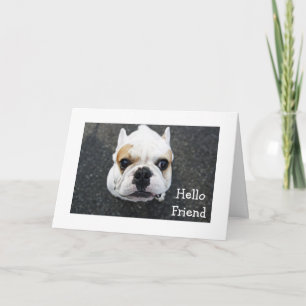 Olá Amigo Cartão de Saudação Bulldog - Verso