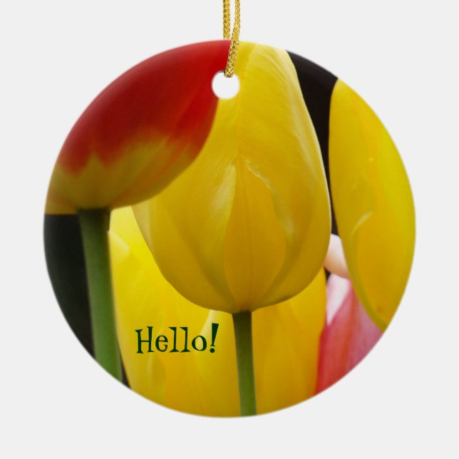 Olá! Amigo! enfeite pendurado presentes Tulipa Ama (Frente)