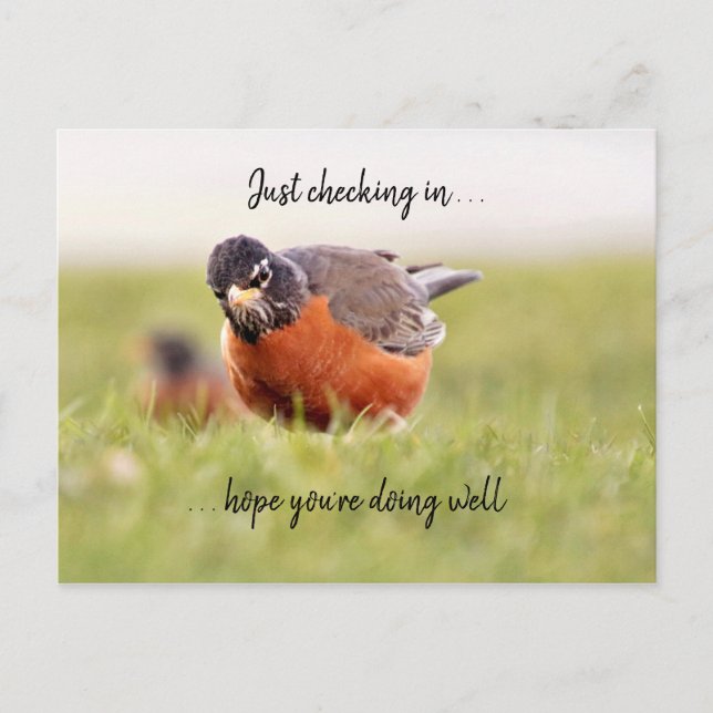 Olá—Apenas Fazendo Check-In Do Cartão Postal (Frente)