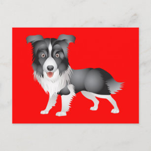 Olá Cachorrinho Border Collie Cartão Postal de Sau
