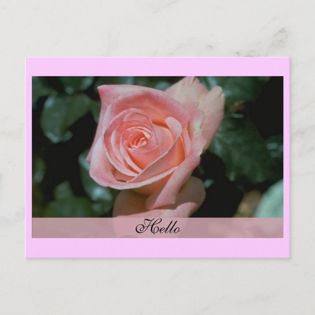 Olá Cartão (Frente)