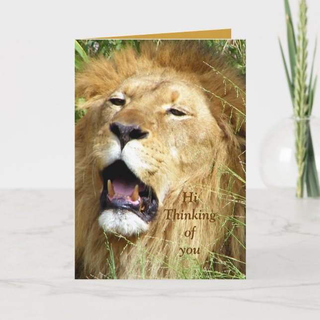 Olá, Cartão de Boas Festas (Frente)