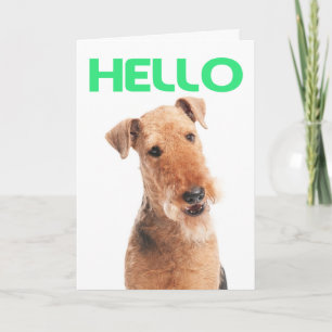 Olá Cartão de Boas-Vindas ao Cachorrinho Airedale