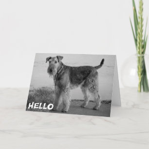 Olá Cartão de Cachorro Airedale Filhote - Verso
