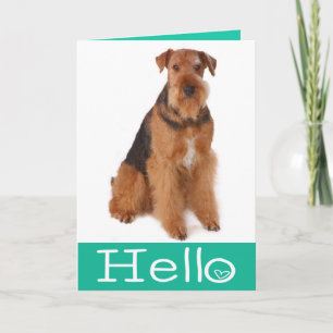 Olá Cartão de Cachorro Airedale Terrier Filhote - 